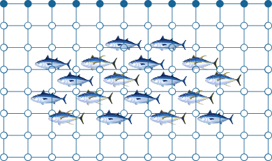 Baligin Hikayesi Dardanel